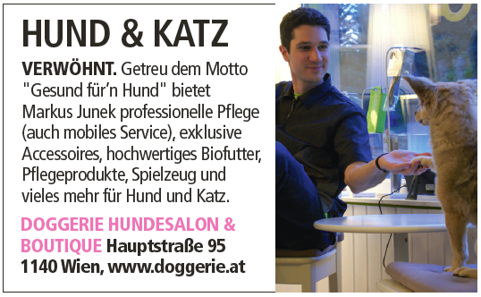 StyleUpYourLife Magazin Sept2014