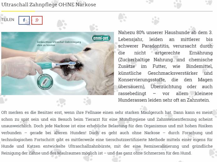die Hundezeitung online Ultraschall Zahnpflege PR 1