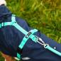 Preview: Anny-X Führleine SAFETY, vollgepolstert, 3 Meter