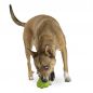 Preview: Planet Dog® Orbee-Tuff Produce Foodies (Fruits)
