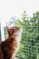 Preview: Katzenschutznetz für Fenster oder Türen, transparent
