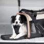 Preview: Kurgo Wander Carrier Transporttasche für Hunde und Katzen