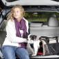 Preview: Kurgo Wander Carrier Transporttasche für Hunde und Katzen