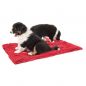 Mobile Preview: Dirty Dog Doormat - Schmutzfangteppich