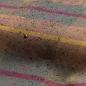 Preview: Cloud7 Hundemantel Brooklyn Waxed Tartan