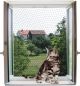 Preview: Katzenschutznetz für Fenster oder Türen, transparent