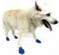 Mobile Preview: PAWZ Hundeschuhe aus Naturkautschuk