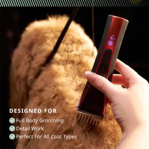 WAHL Bravura 2 Brilliant Rose + Diamond Blade
