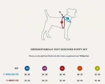 Curli Vest Harness Air-Mesh Puppy Set