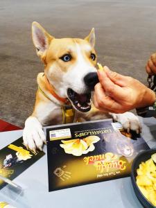 Buddy Snack Kartoffelchips für Mensch und Hund - 100g Packung
