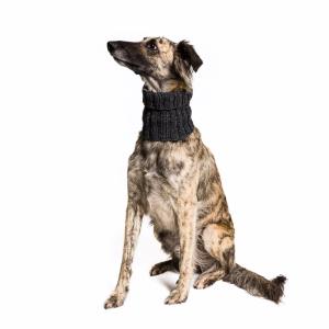 Cloud7 DIY Strickset Merinowolle Hundeschal (LOOP)