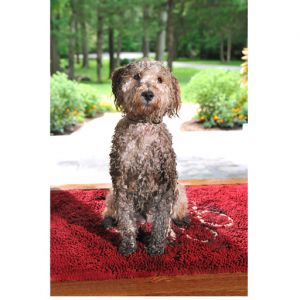 Dirty Dog Doormat - Schmutzfangteppich