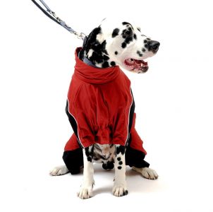 Wolters Skianzug Dogz-Wear (gefüttert mit Beinschutz)