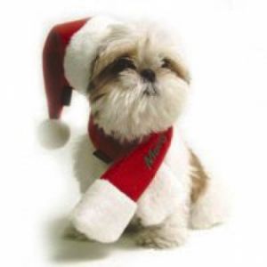 Santa's Scarf - Weihnachtschal für Hunde