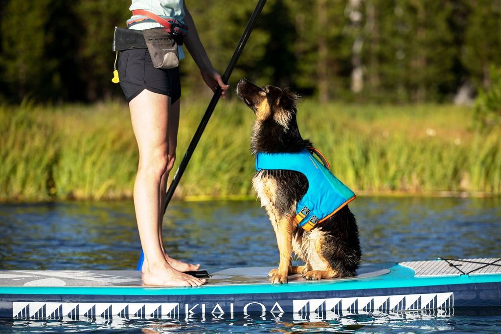 Orange Größe: M Float Coat Ruffwear Schwimmweste für Hunde Größenverstellbar Mittelgroße Hunderassen 