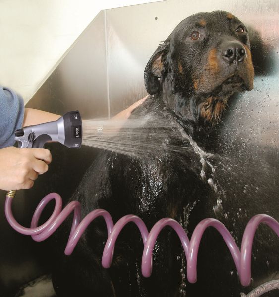 Groom-X Heat Control Powerfull Water Sprayer (Komfortbrausekopf & Druckschlauch für Hunde)