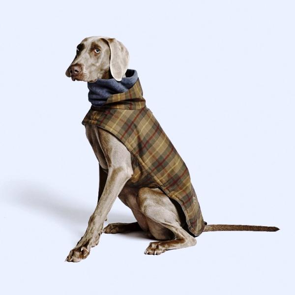 Cloud7 Hundemantel Brooklyn Waxed Tartan