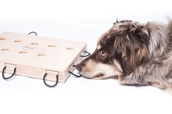 My Intelligent Dogs - iPet Laptop for smart dogs