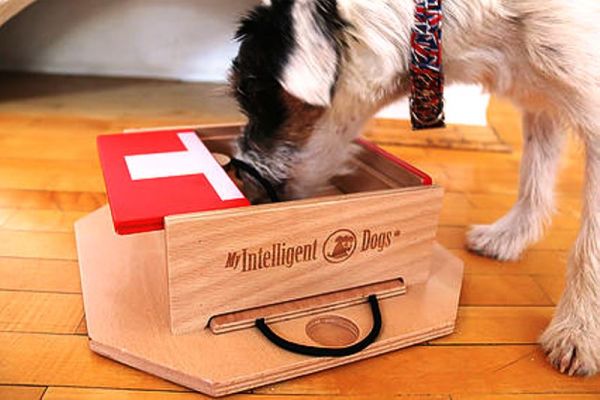 My Intelligent Dogs® Swiss Cube
