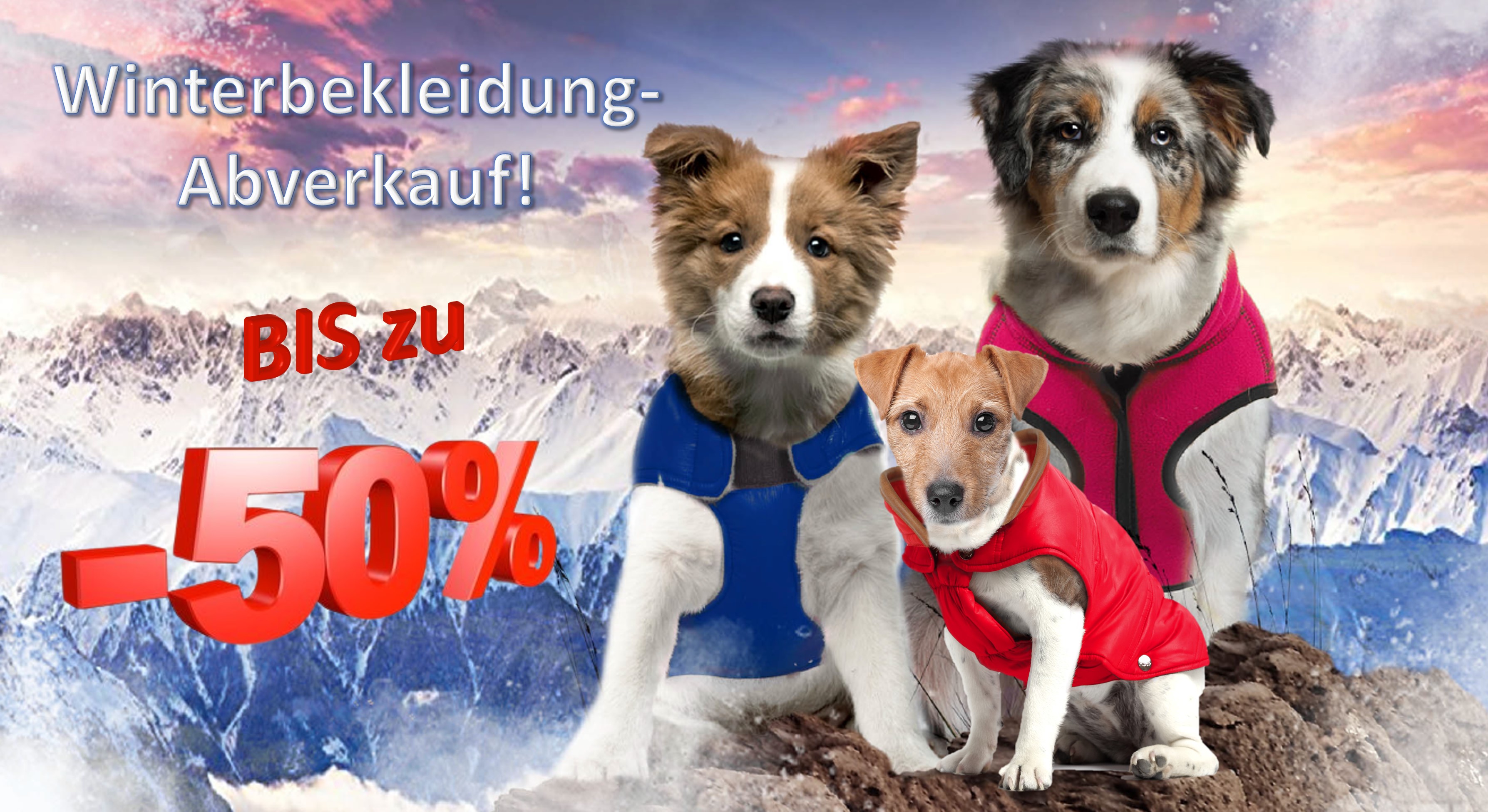 Ihr Online Shop für Hundezubehör - Versandkostenfreie Lieferung ab